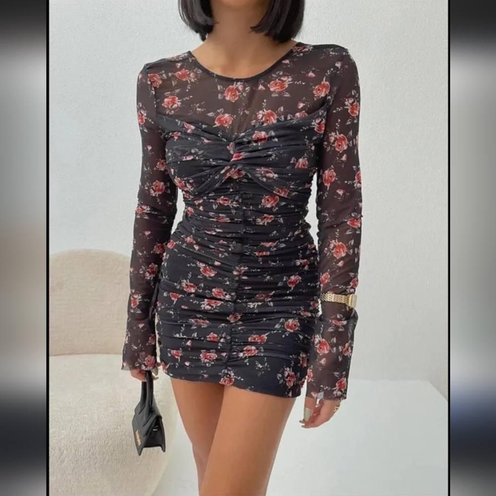 Zara Ruched Tulle Rose Pattern Dress with Mesh Long Sleeves